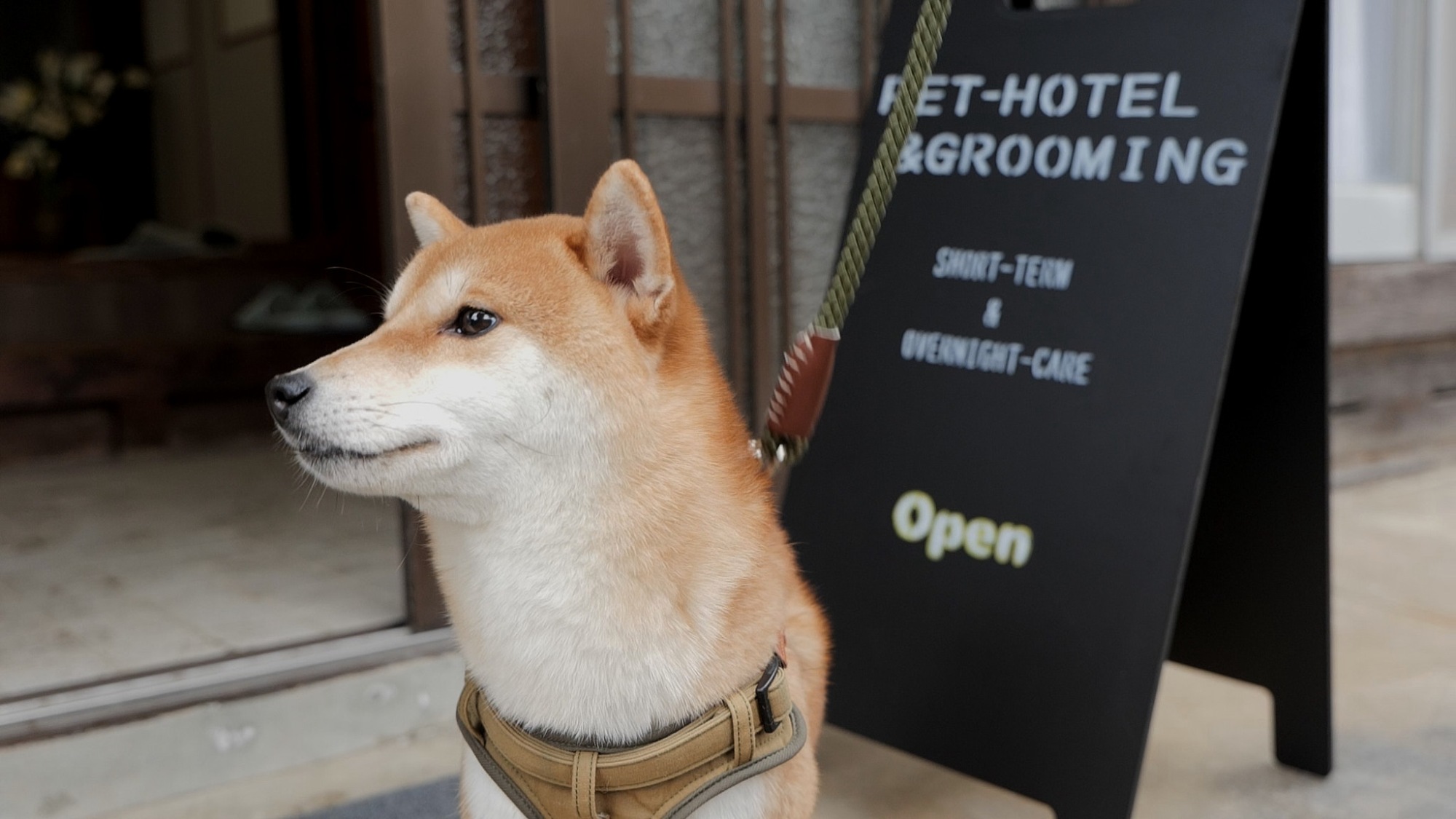 愛犬思いの充実した設備